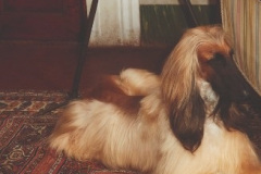 TWXX03_2022X100IMG_mey_AW22_Series_Curv_1_1_3NMR9FL