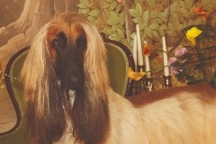 TWXX03_2022X082IMG_mey_AW22_Series_Laur_1_1_N1MRVEM