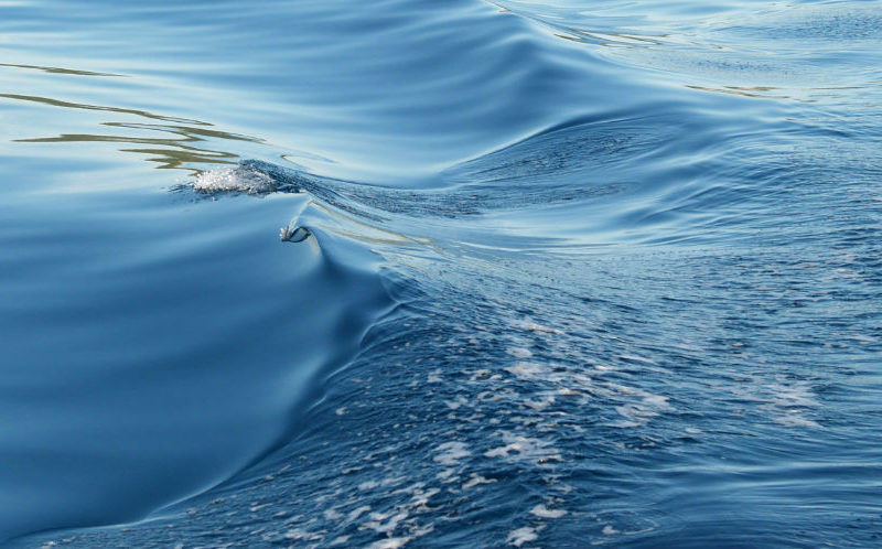 BAGATELL, azaz figyelmen kívül hagyható