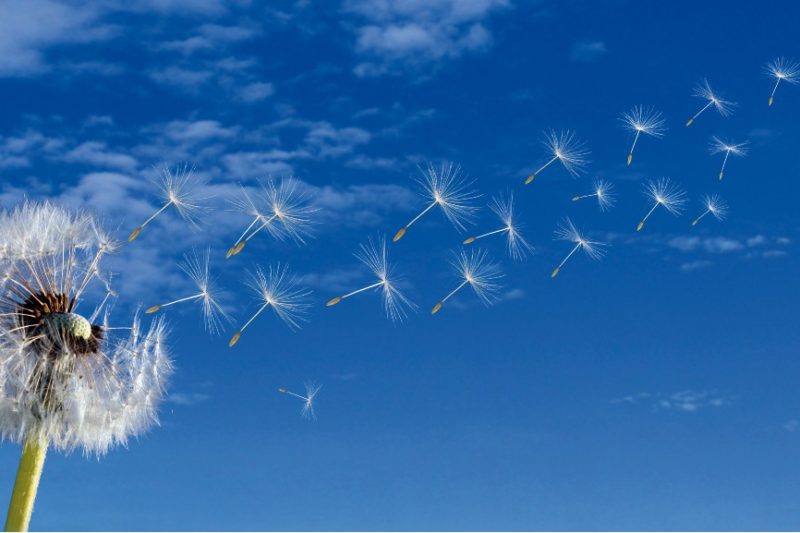 17 – majdnem nagykorú