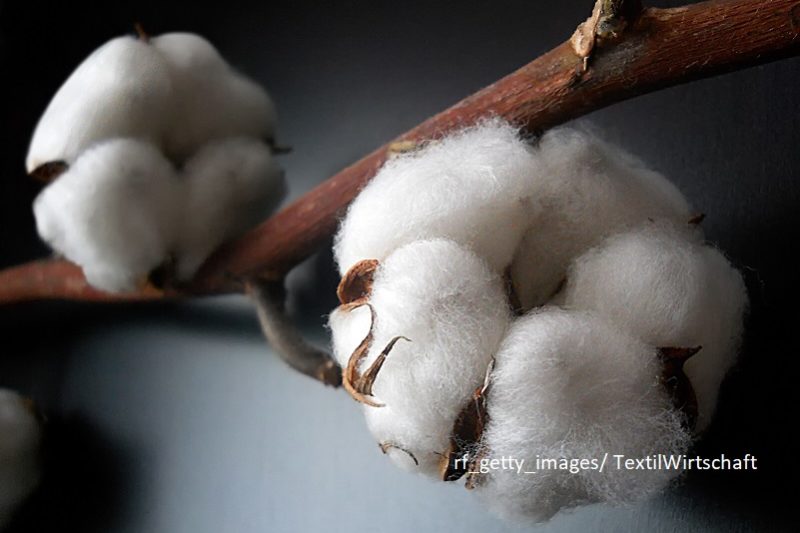 Fenntarthatósági szótár 2021