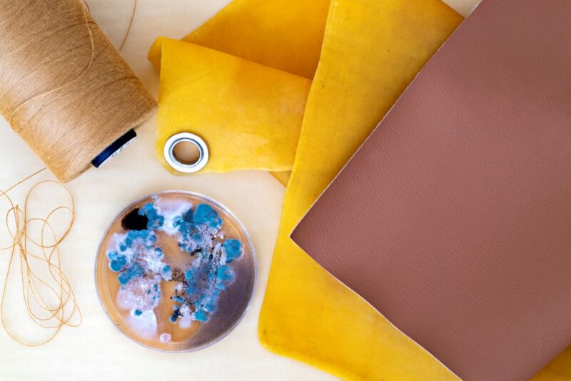 Újfajta érzékenység: a Heimtextil Trends 24/25 a textil átváltozására összpontosít