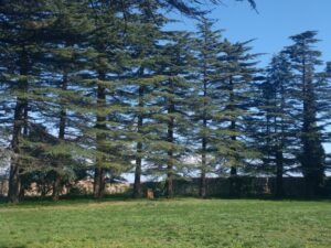 Karacsony 2023 es BUEK 2024