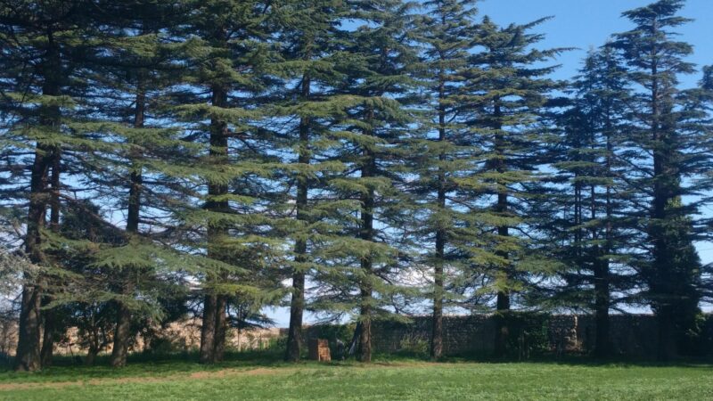 Karácsony 2023 és BÚÉK 2024