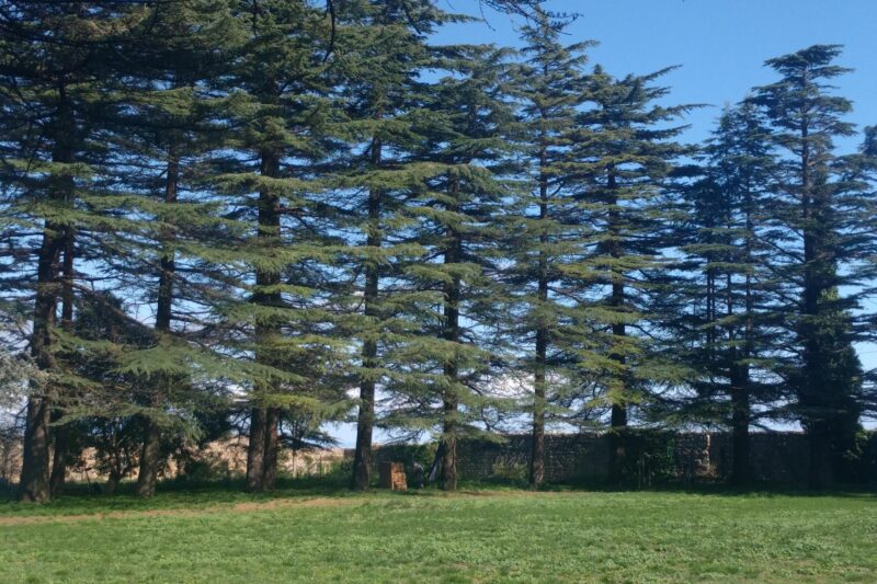 Karácsony 2023 és BÚÉK 2024