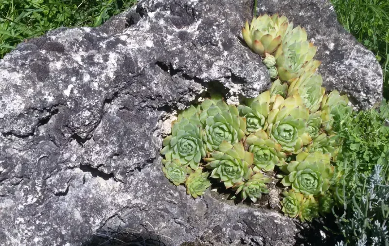 Élmények – tapasztalatok