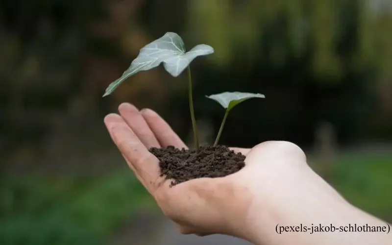 Fashion Revolution Week 2026: közösségi összefogással a fenntartható divatért