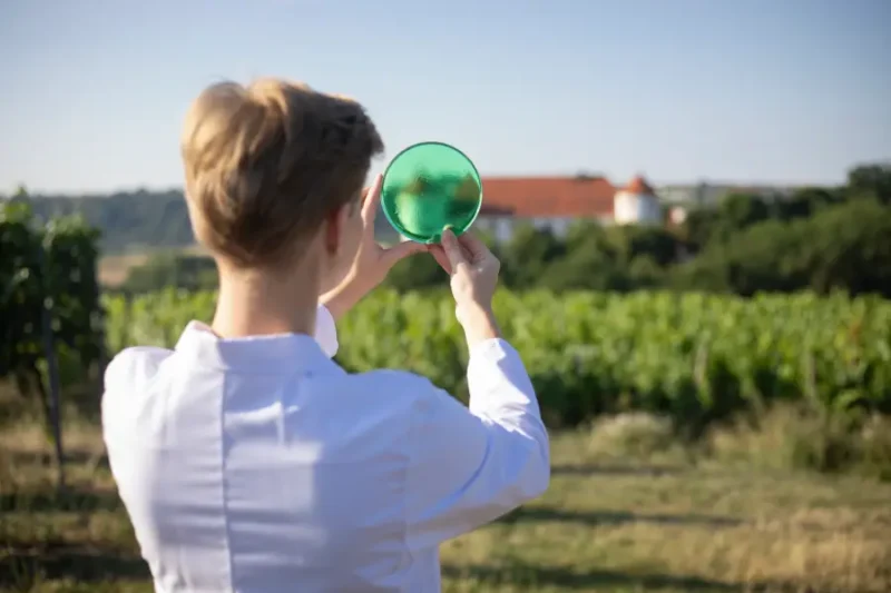 Hohenstein: ambiciózus klímacélok és új fenntarthatósági stratégia